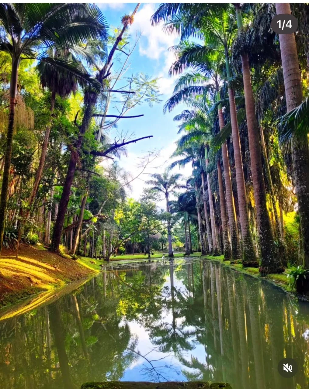 Terreno próximo à praia no bairro Fazenda Laranjeiras em Itariri