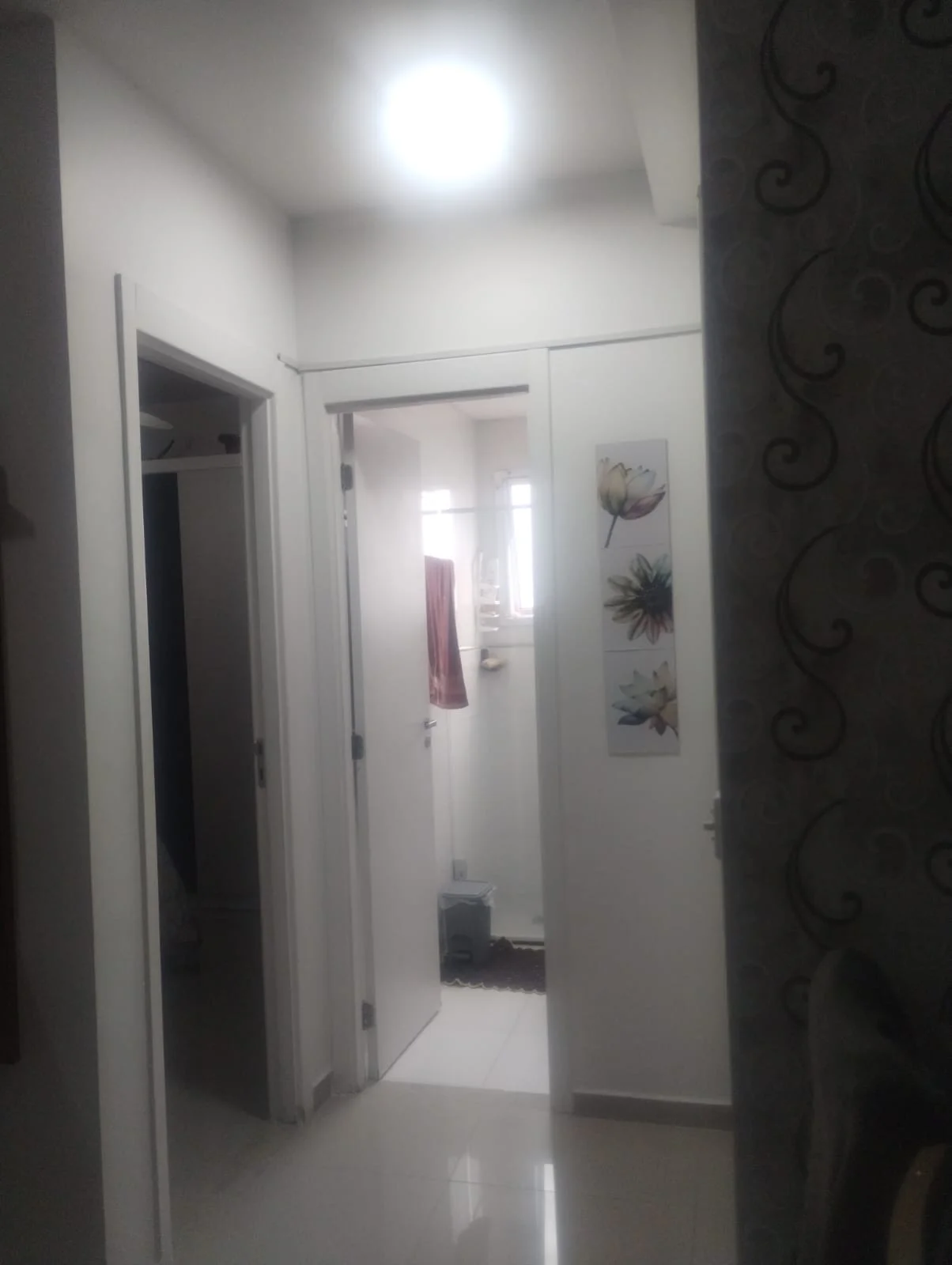 ed9d4263-c8c7-4792-8376-aef7ed1fb717.jpg