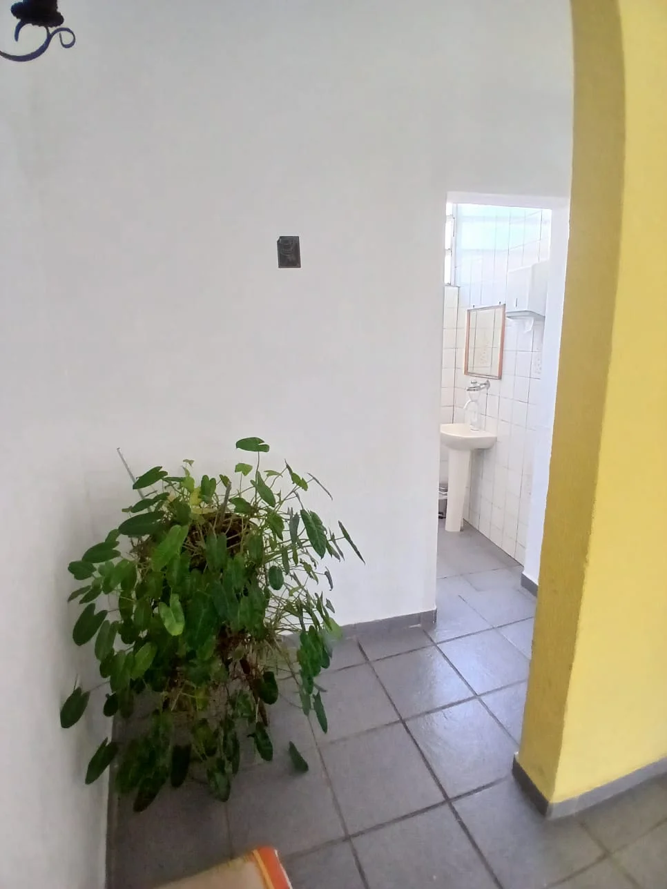 16b205a7-caaf-45e4-9b2a-3c9e0fbdf5f4.jpg