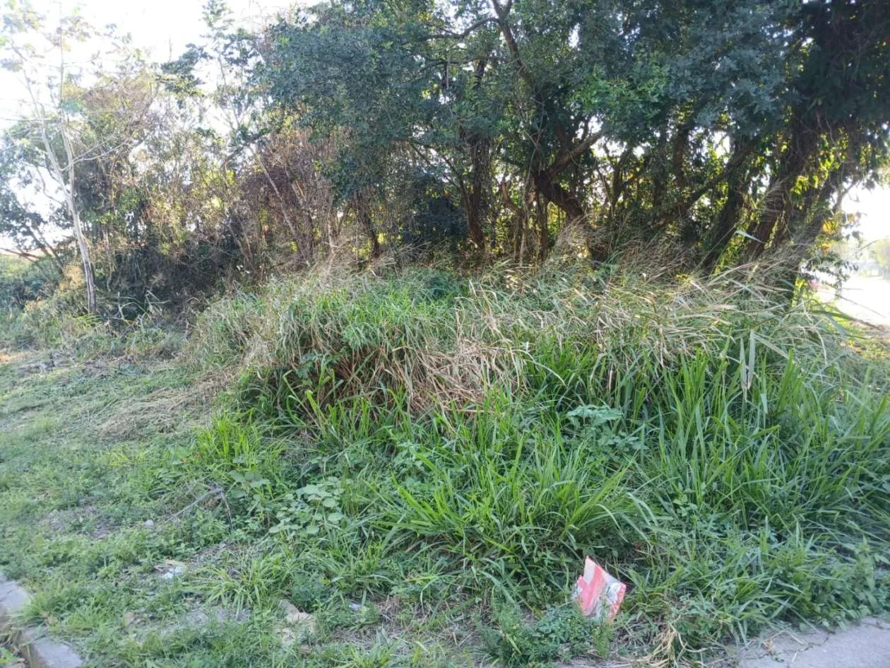 20250723164230427.jpg