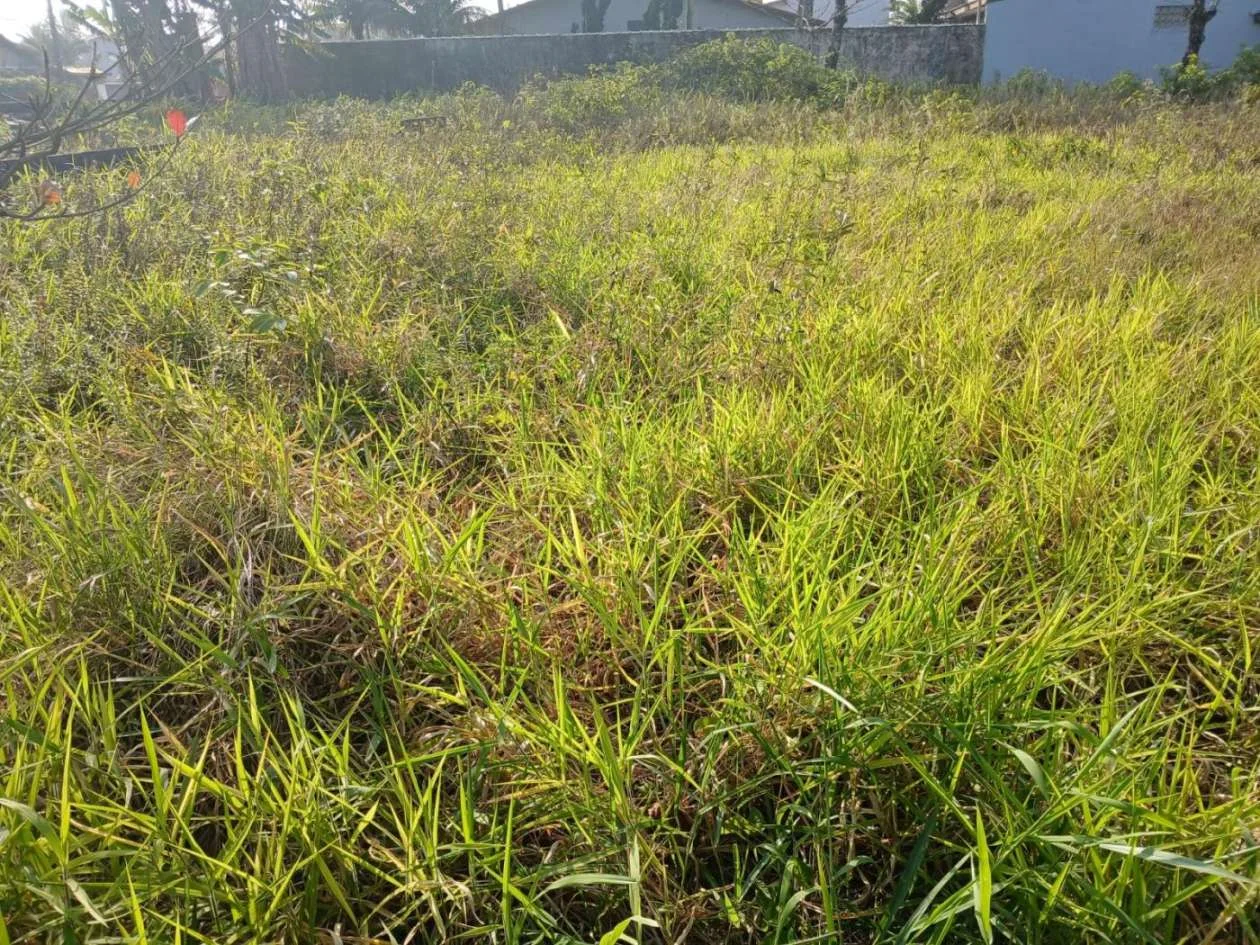 Terreno com vista para o mar no bairro Cibratel 2