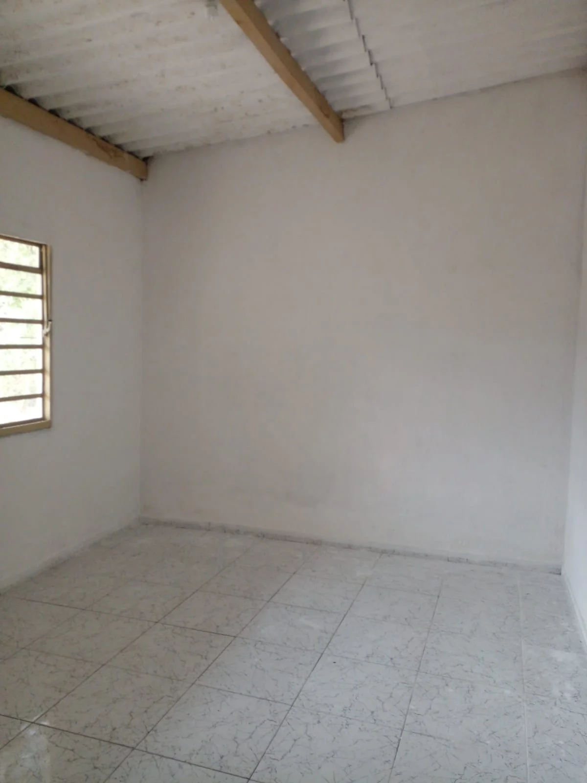 e15ef335-d3a7-4bec-bdaf-b1a38ba27d79.jpg
